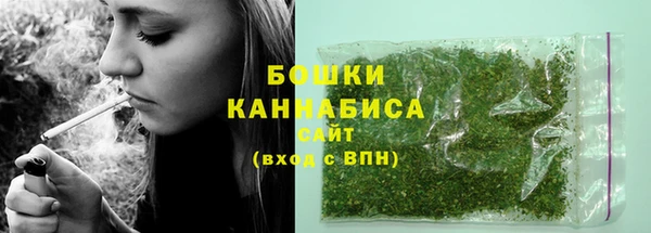 PSILOCYBIN Переславль-Залесский