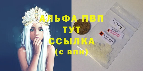 PSILOCYBIN Переславль-Залесский