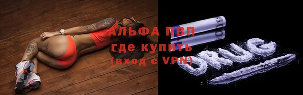 PSILOCYBIN Переславль-Залесский
